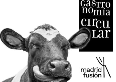 Madrid Fusión 2021 – web site design ui/ux