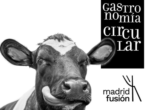 Madrid Fusión 2021 – web site design ui/ux