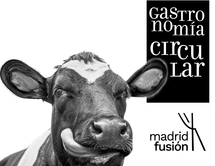Madrid Fusión 2021 – web site design ui/ux