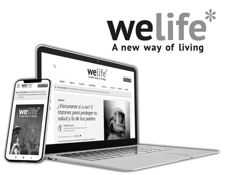 Welife – UX/UI design – Digital Campaign – Newsletter